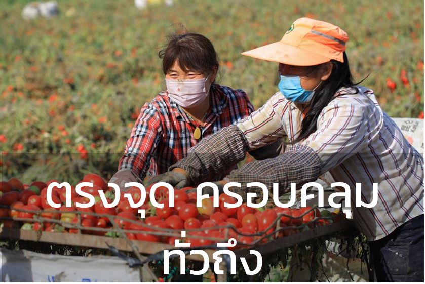 ไขรหัส 4 กลยุทธ์ ที่ทำให้นโยบายลดความยากจนของจีนประสบความสำเร็จ
