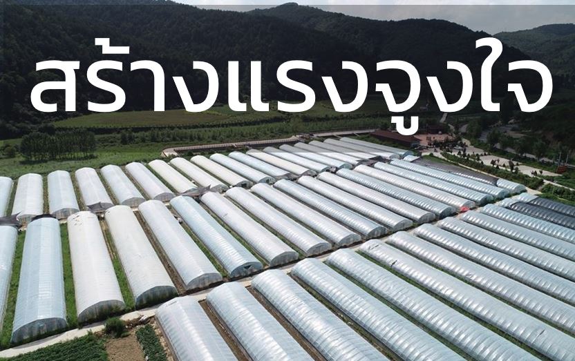 ไขรหัส 4 กลยุทธ์ ที่ทำให้นโยบายลดความยากจนของจีนประสบความสำเร็จ