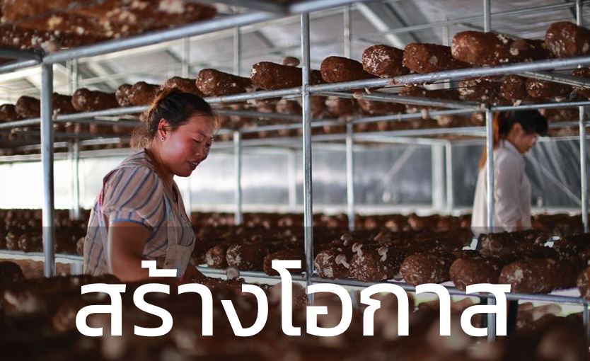 ไขรหัส 4 กลยุทธ์ ที่ทำให้นโยบายลดความยากจนของจีนประสบความสำเร็จ