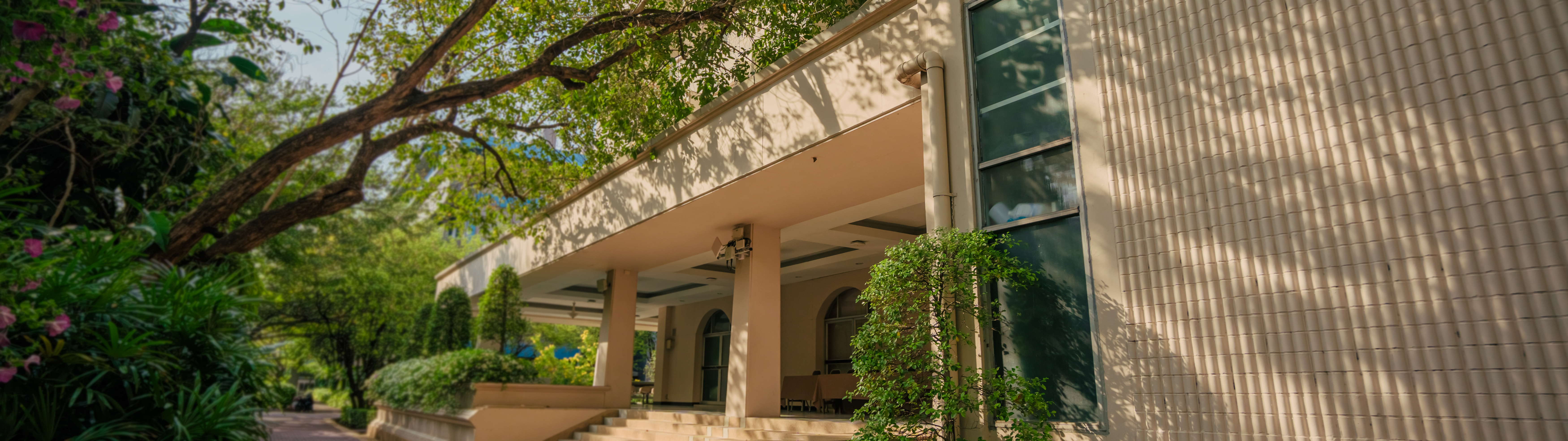 banner-image